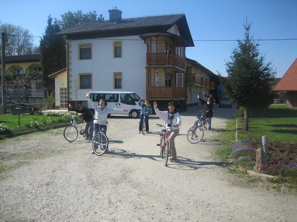 Tourist Farm Salamun Villa Banovci Exterior photo