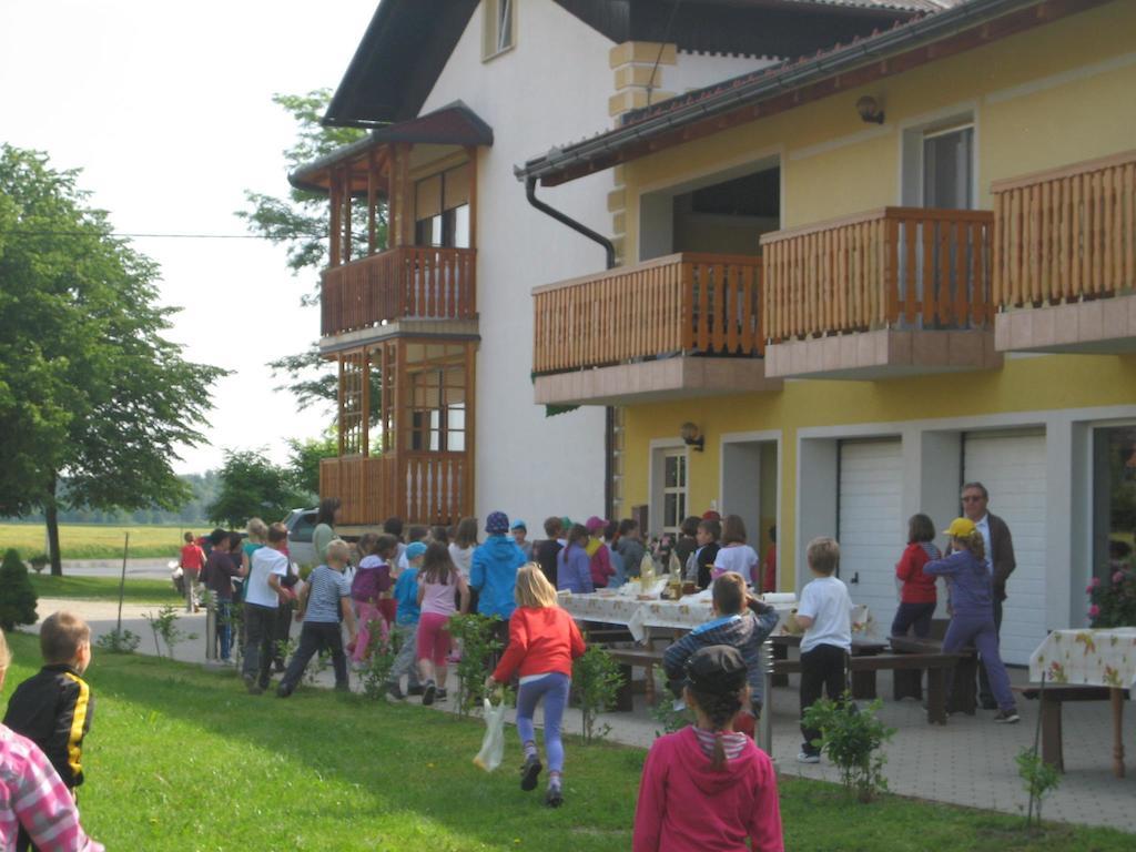 Tourist Farm Salamun Villa Banovci Exterior photo