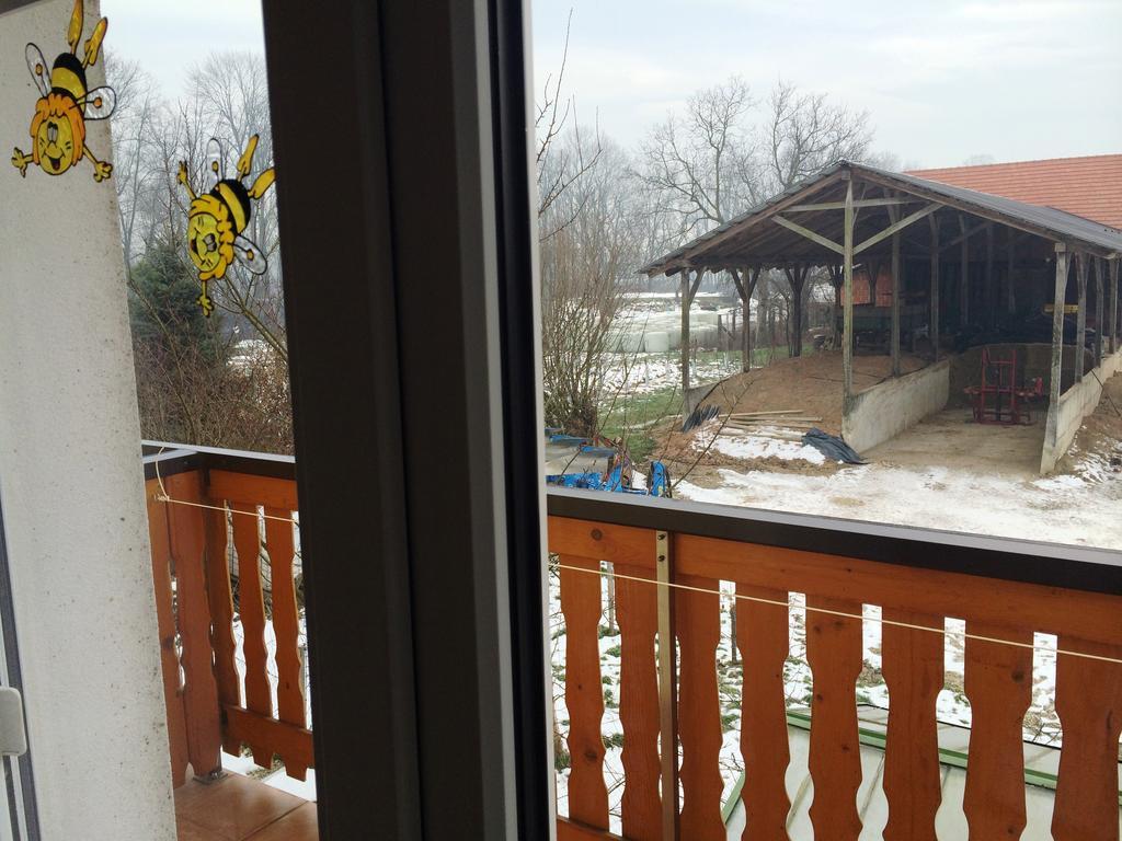 Tourist Farm Salamun Villa Banovci Exterior photo