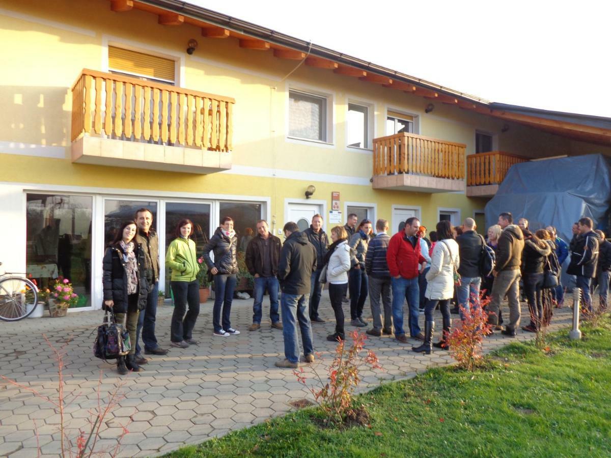 Tourist Farm Salamun Villa Banovci Exterior photo