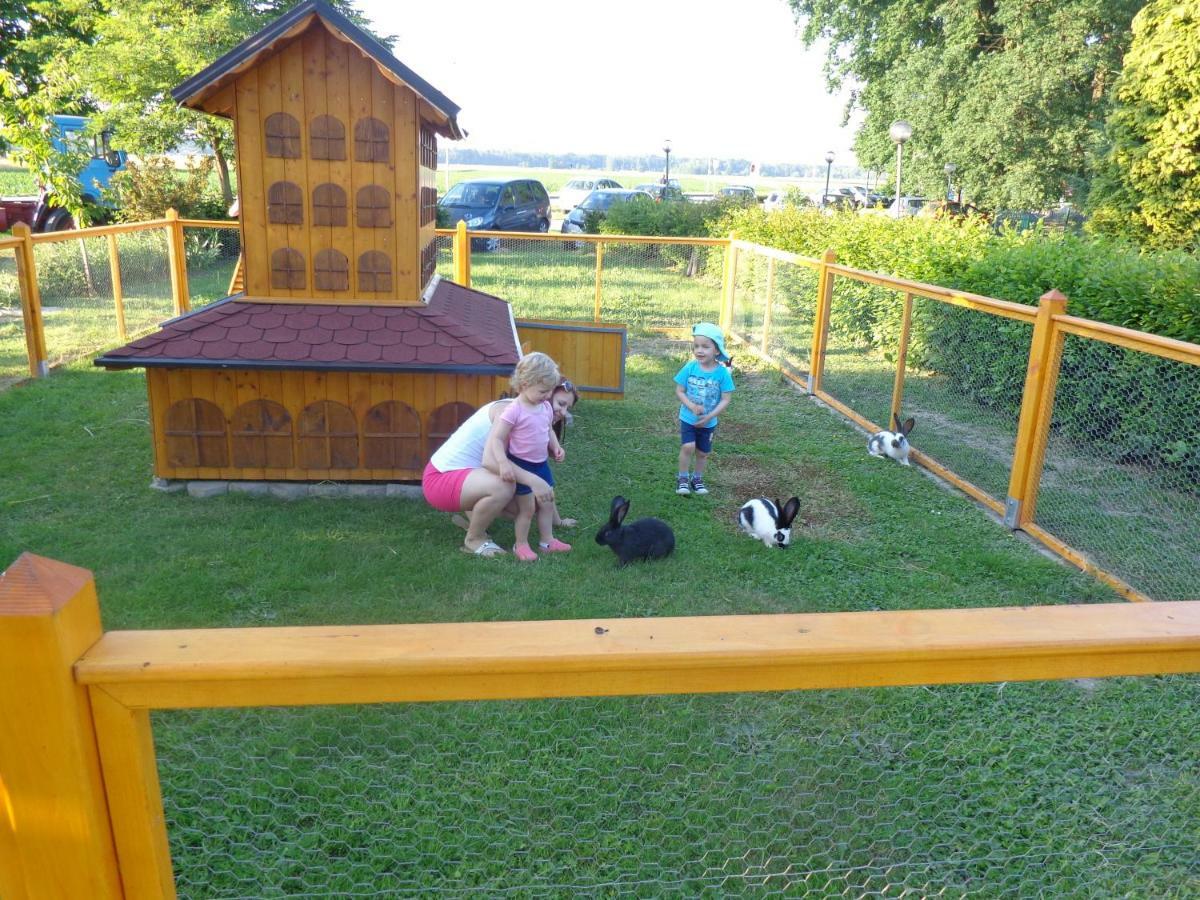 Tourist Farm Salamun Villa Banovci Exterior photo